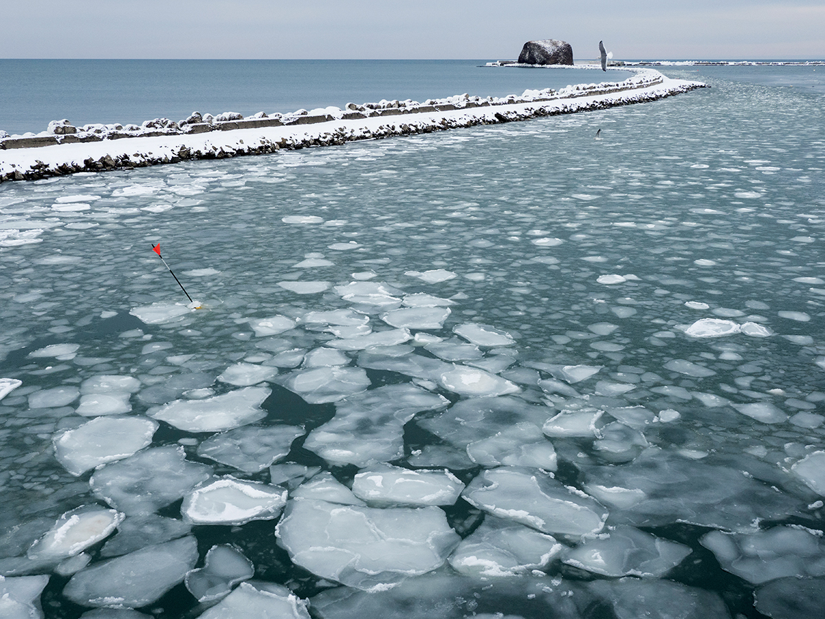 網走破冰船由1月中下旬至4月初行駛，是冬季特別的體驗。