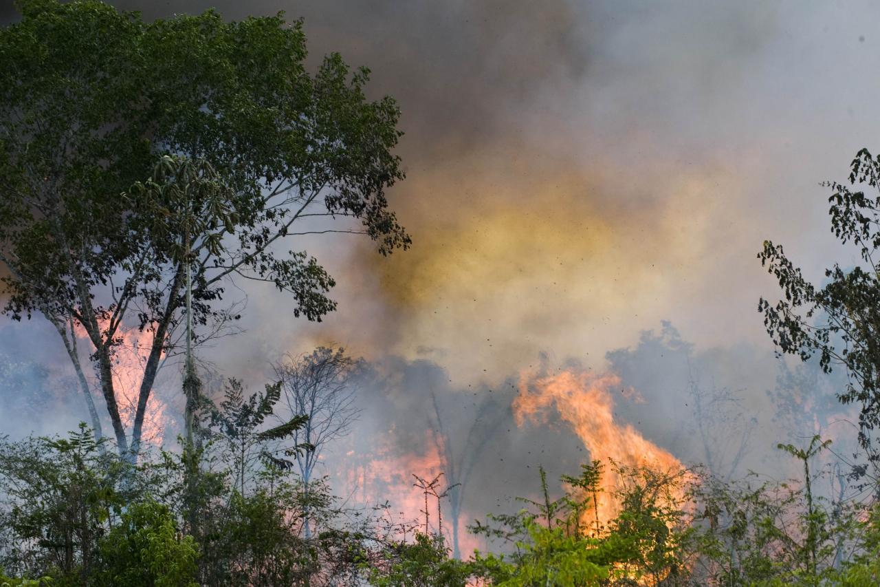 亞馬遜兩林的火災已達失控狀態。