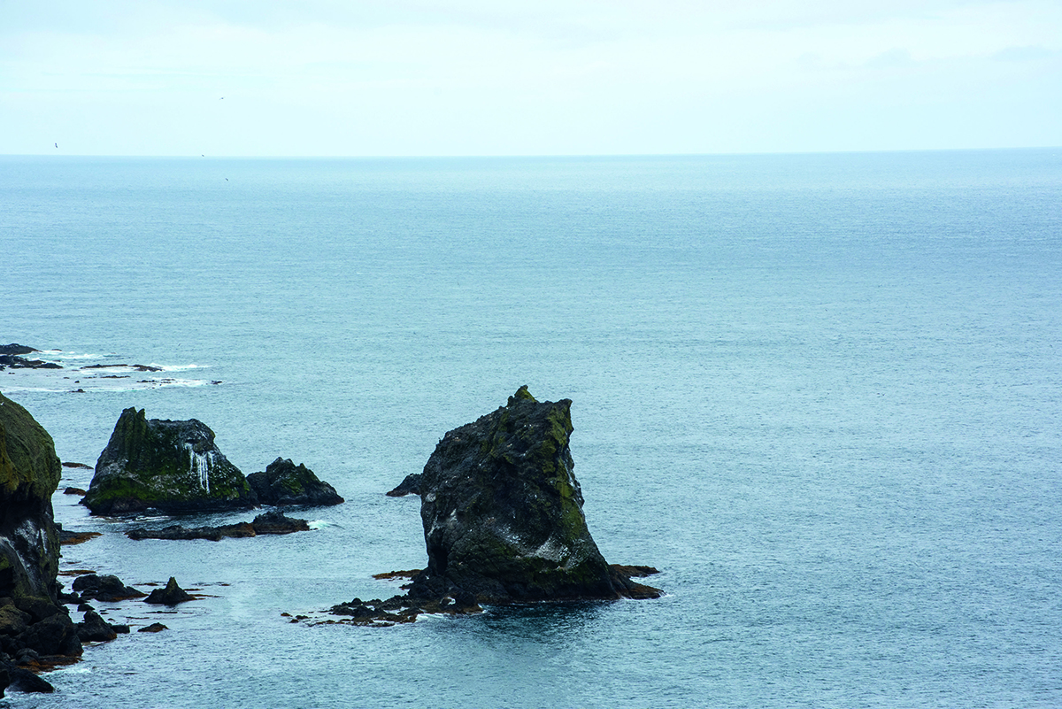 禮文島上的貓岩，因似貓之背面而命名。