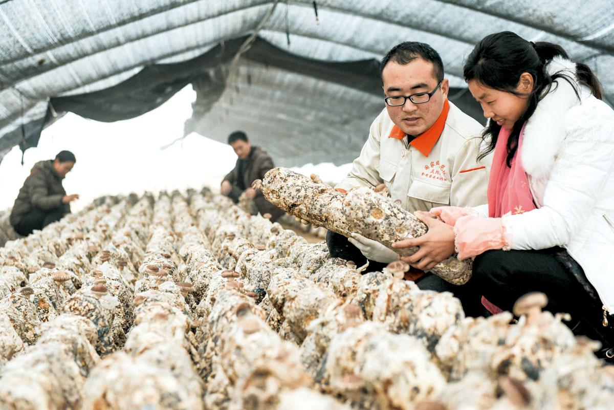 河南省有中國糧倉之稱，近年工業發展也有不 俗表現。