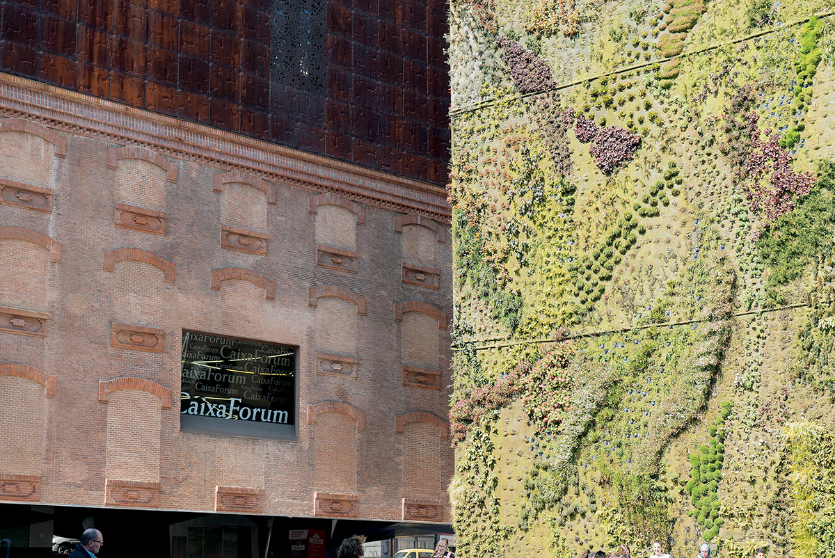 Patrick Blanc的垂直花園設計作品遍佈全球，圖為西班牙馬德里