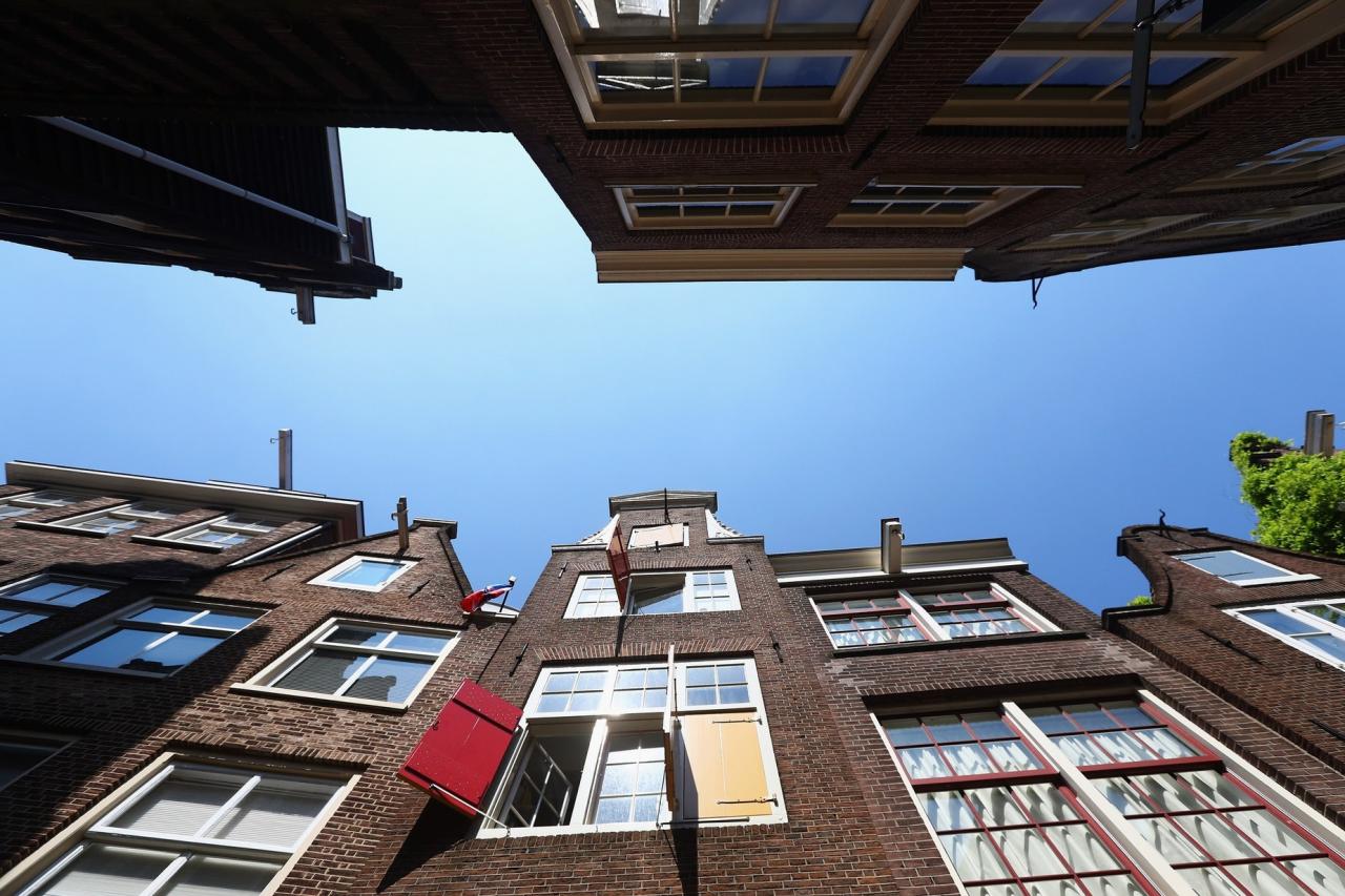除了外籍人士和學生外，私人投資者和Airbnb對阿姆斯特丹的樓價上揚亦起了推波助瀾的作用。