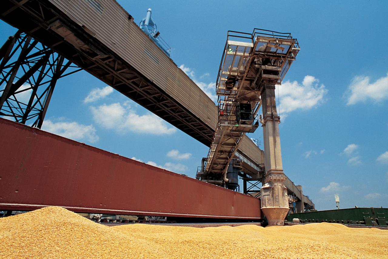 因貿易戰開打，中方採購的美國大豆去年銳減近八成。