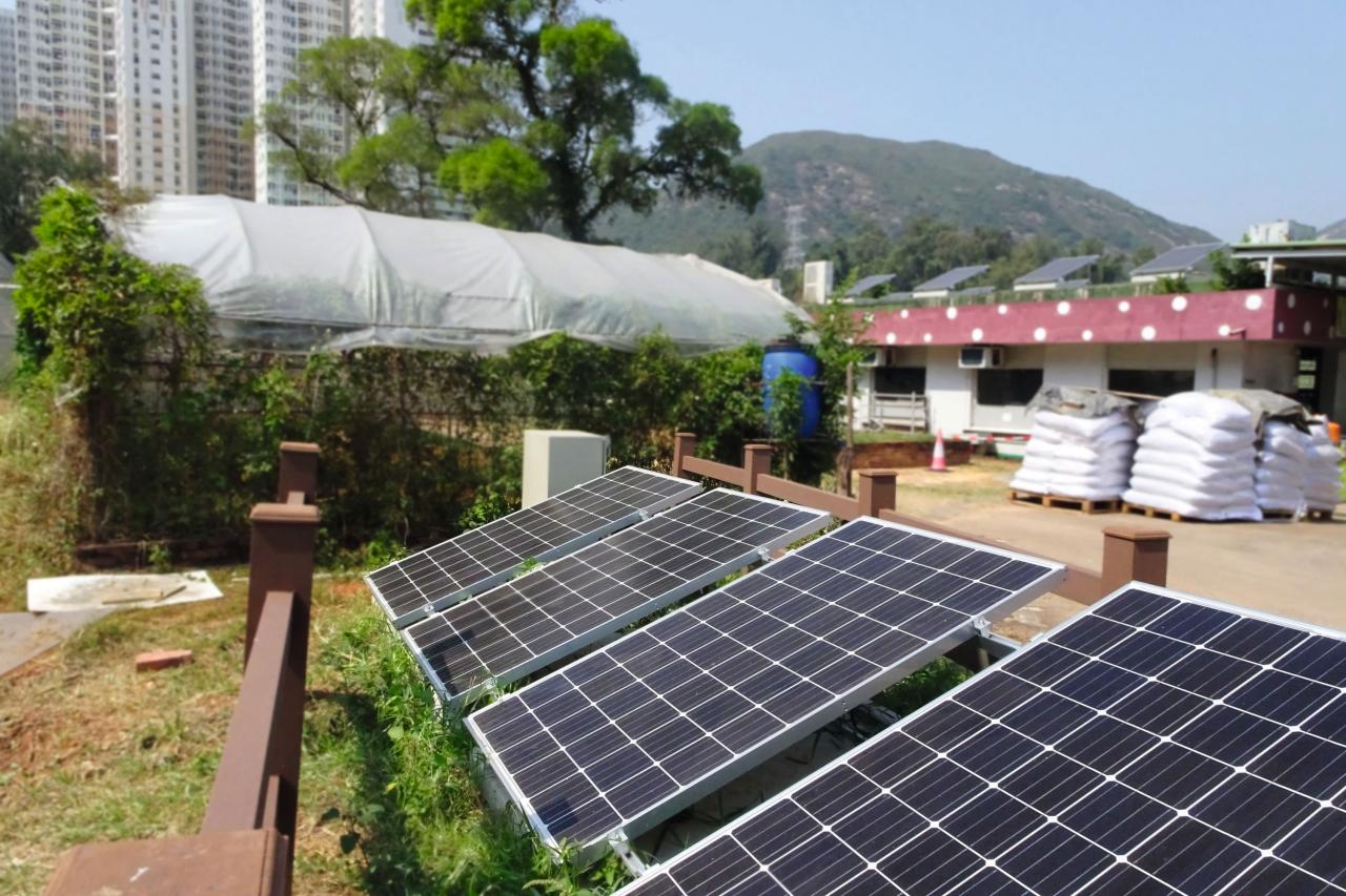 三菱電機（香港）發起與新生精神康復會屬下新生農場合作，推出「Sun Sun學子種暖計劃」。