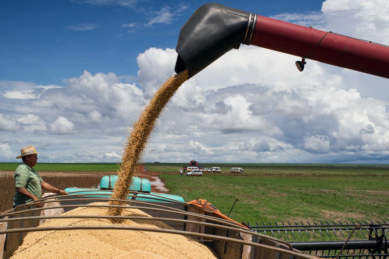 中國對美國大豆推出報復性關稅，預計會對雙方都造成影響。
