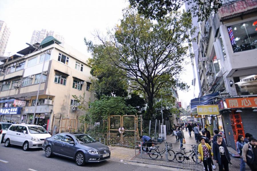 上水新樂街蚊型住宅地成交呎價創北區地皮呎價新紀錄。 上水新樂街蚊型住宅地成交呎價創北區地皮呎價新紀錄。