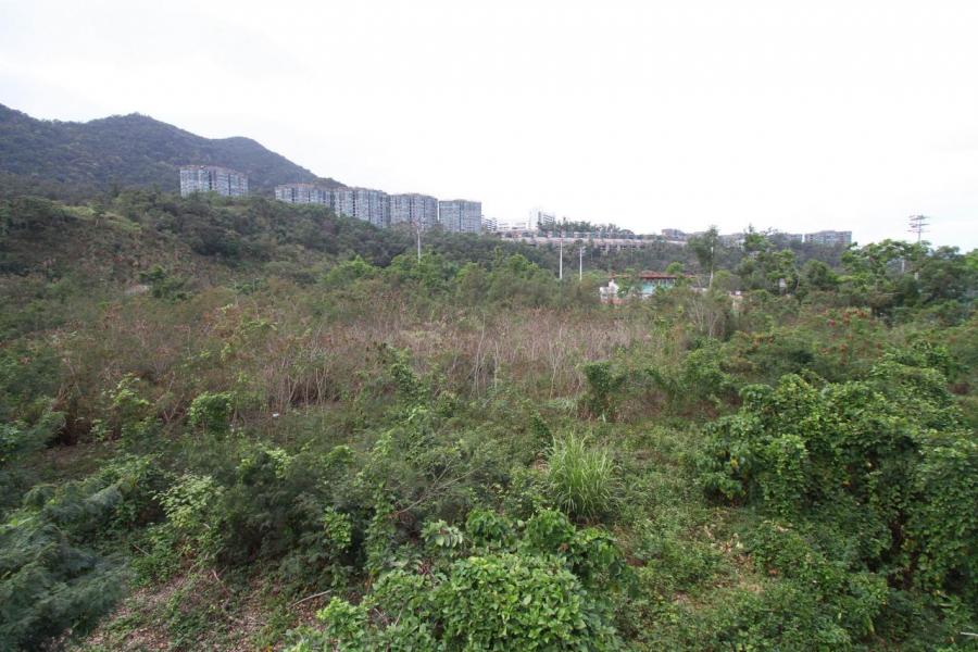 大埔白石角優景里地皮有10家發展商或財團入標競投,當中僅有中信泰富及中海外2間中資入標。 大埔白石角優景里地皮有10家發展商或財團入標競投,當中僅有中信泰富及中海外2間中資入標。