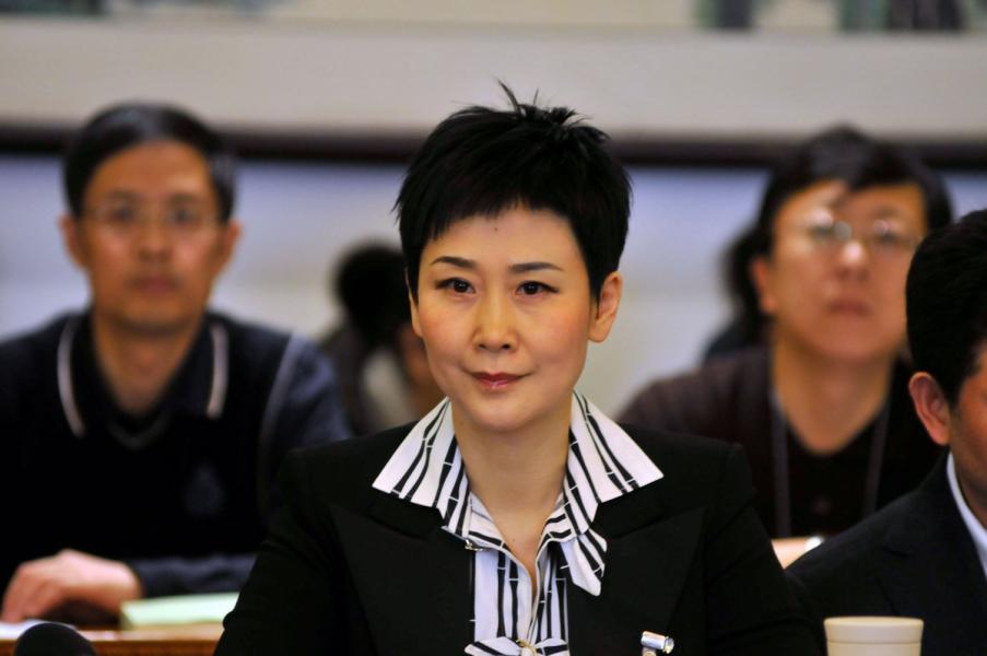 黎亮過去參與能源業務,很多都是與「電力一姐」李小琳有關。 黎亮過去參與能源業務,很多都是與「電力一姐」李小琳有關。