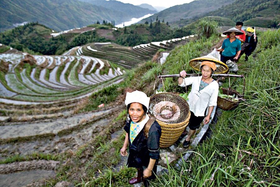中國政府會投入更多資金到農業領域,發展農村。 中國政府會投入更多資金到農業領域,發展農村。