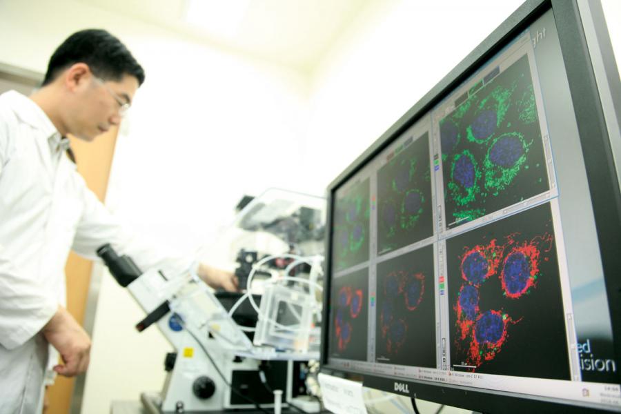 深圳極為重視研發,是中國乃至世界的創科 重鎮。 深圳極為重視研發,是中國乃至世界的創科 重鎮。