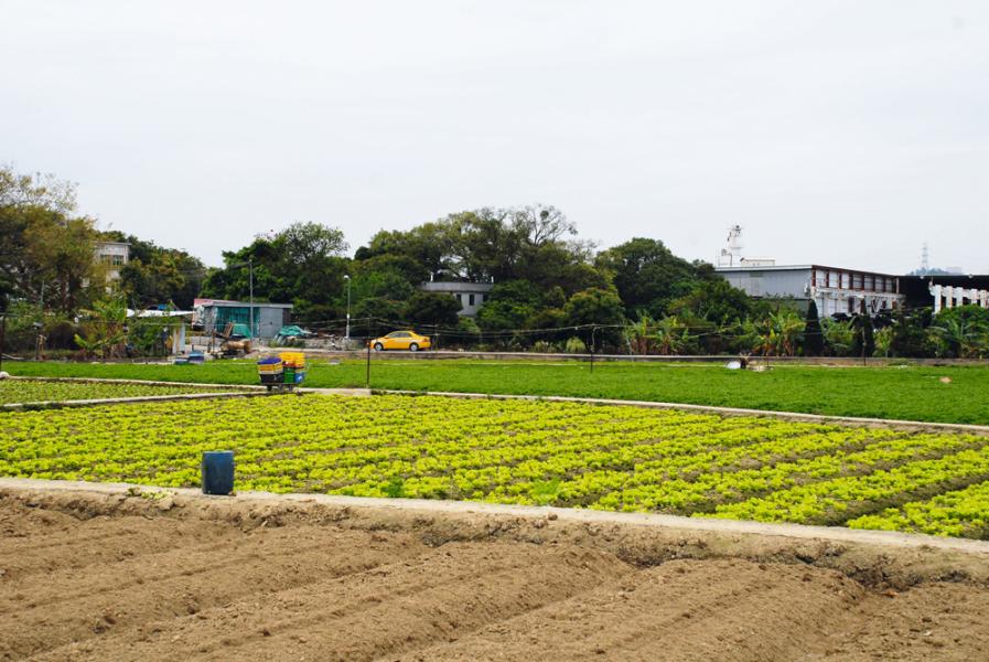 本地發展商積極透過補地價將農地轉換成住宅及商業用地以增加土地儲備。 本地發展商積極透過補地價將農地轉換成住宅及商業用地以增加土地儲備。