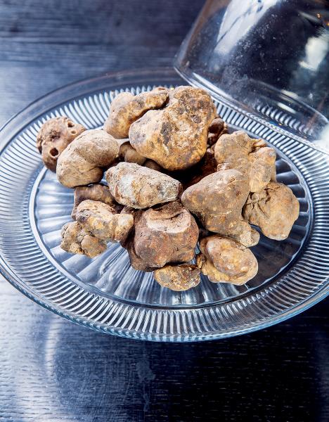 食材對於Silvia來說,是生命中其中一個重要「主角」。 食材對於Silvia來說,是生命中其中一個重要「主角」。