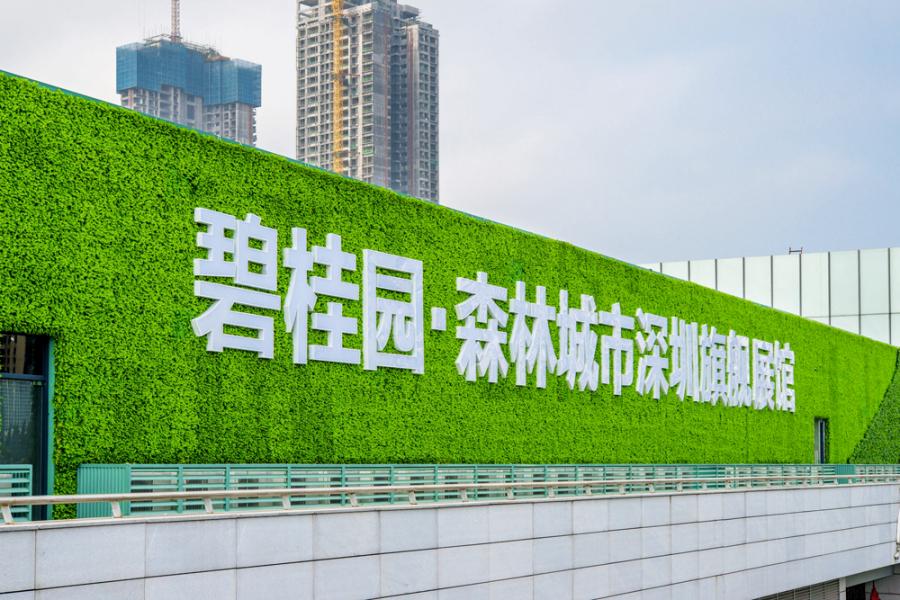 碧桂園出資6.1億元九龍城賈炳達道的舊樓重建項目。 碧桂園出資6.1億元九龍城賈炳達道的舊樓重建項目。